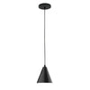 J-Series PEB420 Pendant