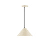 Axis Cone 12 Inch Pendant Light